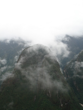 Cloud forest--aptly named
